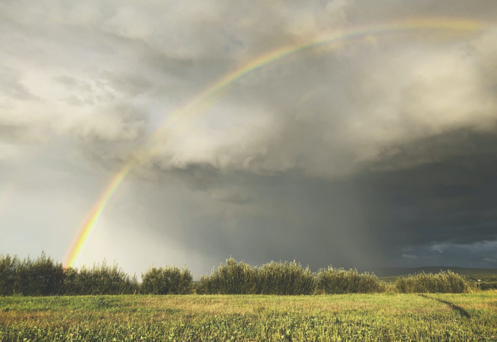 Not By Sight Media - Rainbow over a field